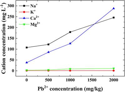 Changes in air and liquid permeability properties of loess due to the effect of lead contamination